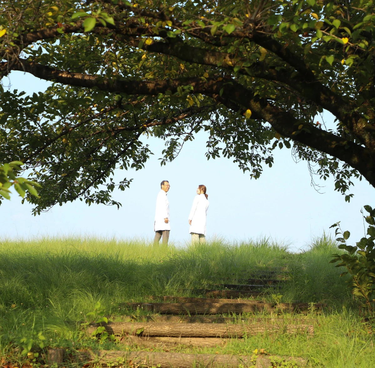 ページイメージ